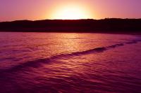 Zurück aus dem Urlaub? Auf zum Volleyball!