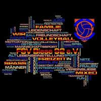 Bild von Fsv Biese 92